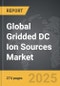 Gridded DC Ion Sources - Global Strategic Business Report - Product Image