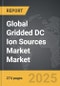 Gridded DC Ion Sources Market - Global Strategic Business Report - Product Image