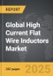 High Current Flat Wire Inductors - Global Strategic Business Report - Product Thumbnail Image
