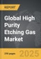 High Purity Etching Gas - Global Strategic Business Report - Product Thumbnail Image