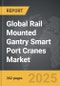 Rail Mounted Gantry Smart Port Cranes - Global Strategic Business Report - Product Thumbnail Image