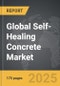 Self-Healing Concrete - Global Strategic Business Report - Product Thumbnail Image