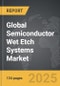 Semiconductor Wet Etch Systems - Global Strategic Business Report - Product Thumbnail Image
