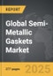 Semi-Metallic Gaskets - Global Strategic Business Report - Product Thumbnail Image