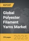 Polyester Filament Yarns - Global Strategic Business Report - Product Thumbnail Image