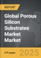 Porous Silicon Substrates Market - Global Strategic Business Report - Product Thumbnail Image