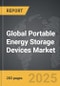 Portable Energy Storage Devices - Global Stategic Business Report - Product Image