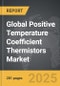 Positive Temperature Coefficient (PTC) Thermistors - Global Strategic Business Report - Product Image