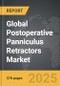 Postoperative Panniculus Retractors - Global Stategic Business Report - Product Image