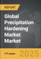 Precipitation Hardening Market - Global Strategic Business Report - Product Thumbnail Image