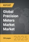 Precision Meters Market - Global Strategic Business Report - Product Thumbnail Image