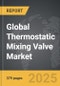 Thermostatic Mixing Valve - Global Strategic Business Report - Product Thumbnail Image