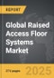 Raised Access Floor Systems - Global Stategic Business Report - Product Image
