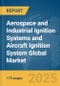Aerospace and Industrial Ignition Systems and Aircraft Ignition System Global Market Report 2025 - Product Thumbnail Image