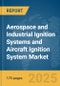 Aerospace and Industrial Ignition Systems and Aircraft Ignition System Market Report 2025 - Product Thumbnail Image