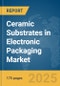 Ceramic Substrates in Electronic Packaging Market Report 2025 - Product Image