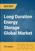 Long Duration Energy Storage Global Market Report 2025- Product Image