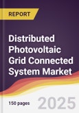 Distributed Photovoltaic Grid Connected System Market Report: Trends, Forecast and Competitive Analysis to 2031- Product Image