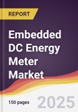 Embedded DC Energy Meter Market Report: Trends, Forecast and Competitive Analysis to 2031- Product Image
