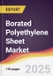 Borated Polyethylene Sheet Market Report: Trends, Forecast and Competitive Analysis to 2031 - Product Thumbnail Image