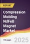 Compression Molding NdFeB Magnet Market Report: Trends, Forecast and Competitive Analysis to 2031 - Product Thumbnail Image