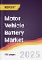 Motor Vehicle Battery Market Report: Trends, Forecast and Competitive Analysis to 2031 - Product Thumbnail Image