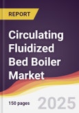 Circulating Fluidized Bed Boiler Market Report: Trends, Forecast and Competitive Analysis to 2031- Product Image