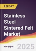Stainless Steel Sintered Felt Market Report: Trends, Forecast and Competitive Analysis to 2031- Product Image
