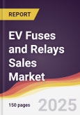 EV Fuses and Relays Sales Market Report: Trends, Forecast and Competitive Analysis to 2031- Product Image