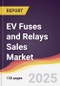 EV Fuses and Relays Sales Market Report: Trends, Forecast and Competitive Analysis to 2031 - Product Thumbnail Image