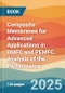 Composite Membranes for Advanced Applications in DMFC and PEMFC. Analysis of the Performance - Product Thumbnail Image