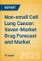 Non-small Cell Lung Cancer: Seven-Market Drug Forecast and Market Analysis - Product Thumbnail Image