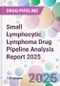 Small Lymphocytic Lymphoma Drug Pipeline Analysis Report 2025 - Product Thumbnail Image