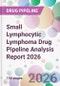 Small Lymphocytic Lymphoma Drug Pipeline Analysis Report 2026 - Product Thumbnail Image
