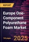 Europe One-Component Polyurethane Foam Market Forecast to 2031 - Regional Analysis - by Raw Material, Application, and End Use - Product Thumbnail Image