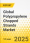 Global Polypropylene Chopped Strands Market: Focus on Application, Type, and Region - Analysis and Forecast, 2025-2034 - Product Thumbnail Image