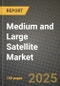Medium and Large Satellite Market 2025-2034 - Product Thumbnail Image