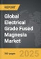 Electrical Grade Fused Magnesia - Global Strategic Business Report - Product Thumbnail Image