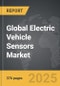 Electric Vehicle Sensors - Global Strategic Business Report - Product Thumbnail Image