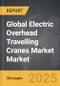 Electric Overhead Travelling (EOT) Cranes Market - Global Strategic Business Report - Product Image