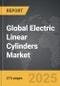 Electric Linear Cylinders - Global Strategic Business Report - Product Thumbnail Image