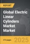 Electric Linear Cylinders Market - Global Strategic Business Report - Product Thumbnail Image