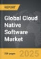 Cloud Native Software - Global Strategic Business Report - Product Thumbnail Image