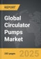 Circulator Pumps - Global Strategic Business Report - Product Thumbnail Image