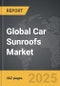Car Sunroofs - Global Strategic Business Report - Product Thumbnail Image