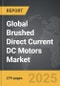 Brushed Direct Current DC Motors - Global Strategic Business Report - Product Thumbnail Image