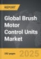 Brush Motor Control Units - Global Strategic Business Report - Product Thumbnail Image