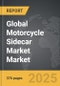 Motorcycle Sidecar Market - Global Strategic Business Report - Product Thumbnail Image