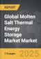 Molten Salt Thermal Energy Storage Market - Global Strategic Business Report - Product Thumbnail Image