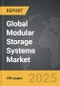 Modular Storage Systems - Global Strategic Business Report - Product Thumbnail Image